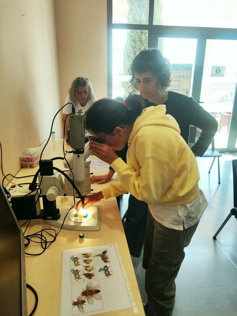 Sábados Científicos 2024