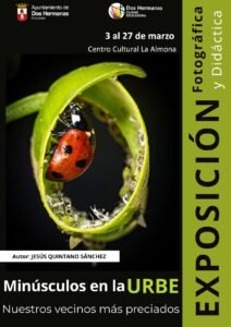 Minúsculos en la URBE: Nuestros vecinos más preciados