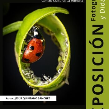Minúsculos en la URBE: Nuestros vecinos más preciados