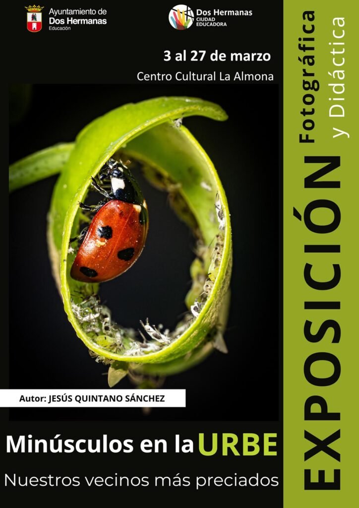 Minúsculos en la URBE: Nuestros vecinos más preciados