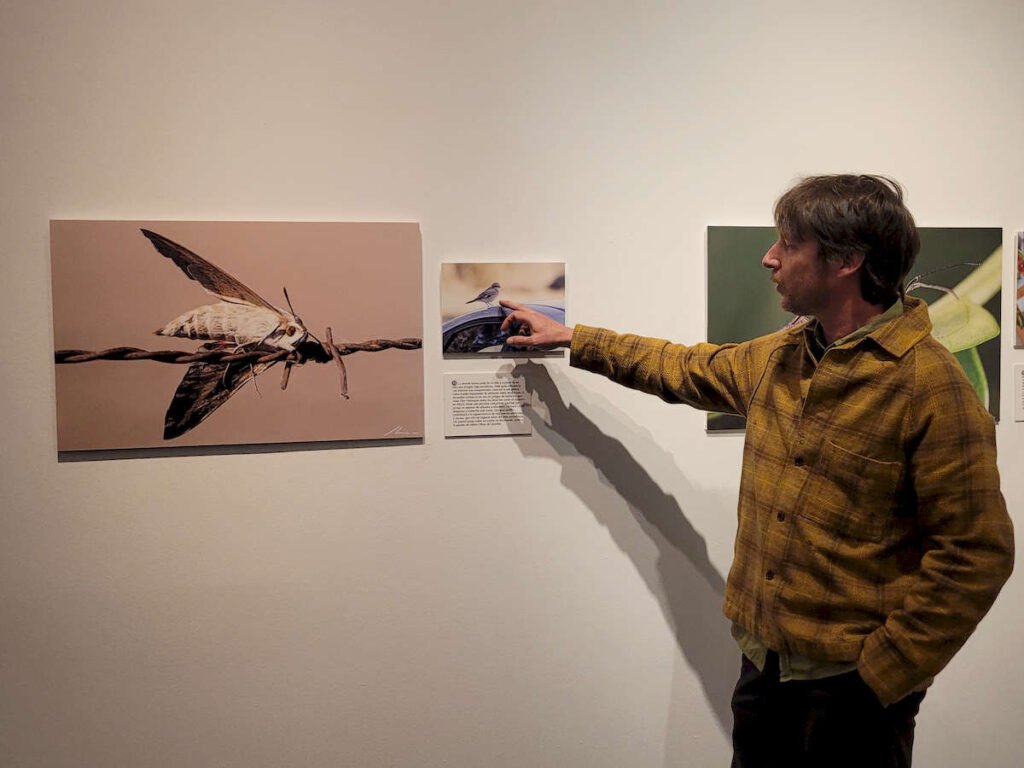 Minúsculos en la URBE: Nuestros vecinos más preciados