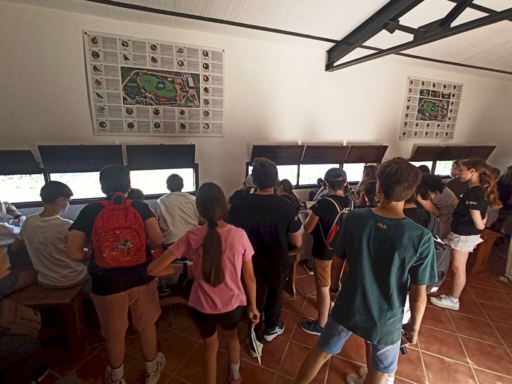 Convivencia de buenas prácticas del Grupo de Participación Local de Infancia y Adolescencia de Dos Hermanas “IADH” y el Consejo Local de la Infancia y la Adolescencia de Los Palacios y Villafranca