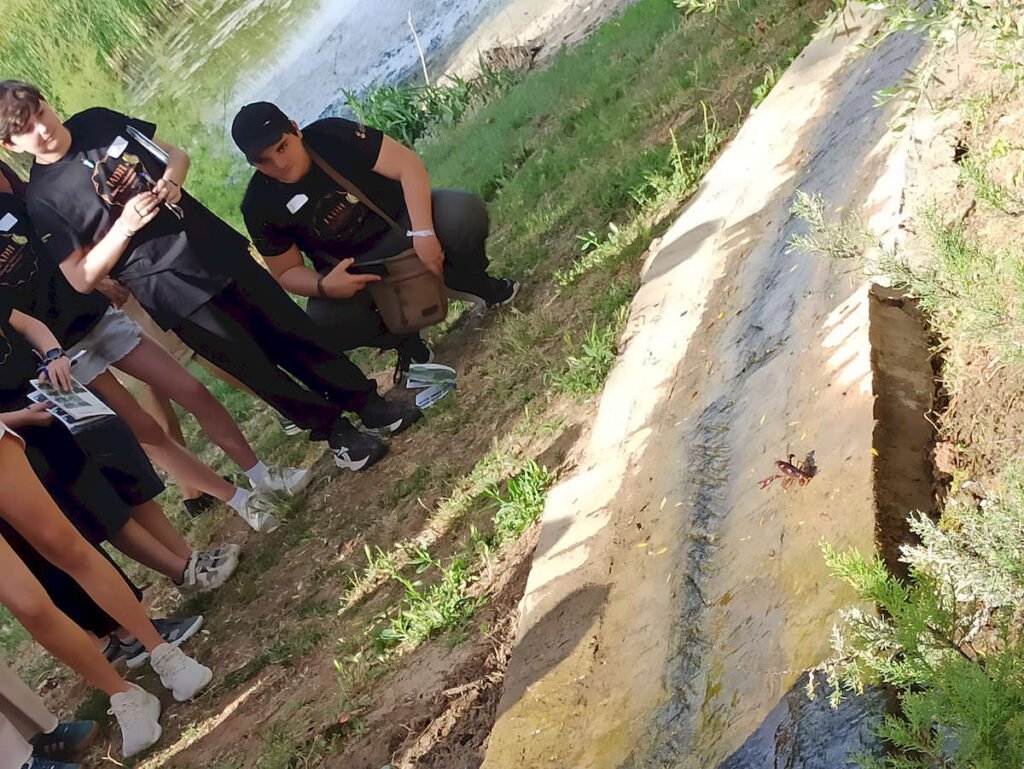 Convivencia de buenas prácticas del Grupo de Participación Local de Infancia y Adolescencia de Dos Hermanas “IADH” y el Consejo Local de la Infancia y la Adolescencia de Los Palacios y Villafranca