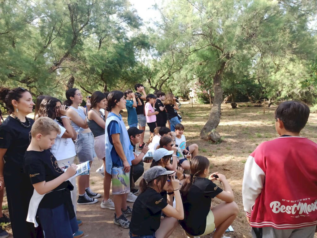 Convivencia de buenas prácticas del Grupo de Participación Local de Infancia y Adolescencia de Dos Hermanas “IADH” y el Consejo Local de la Infancia y la Adolescencia de Los Palacios y Villafranca
