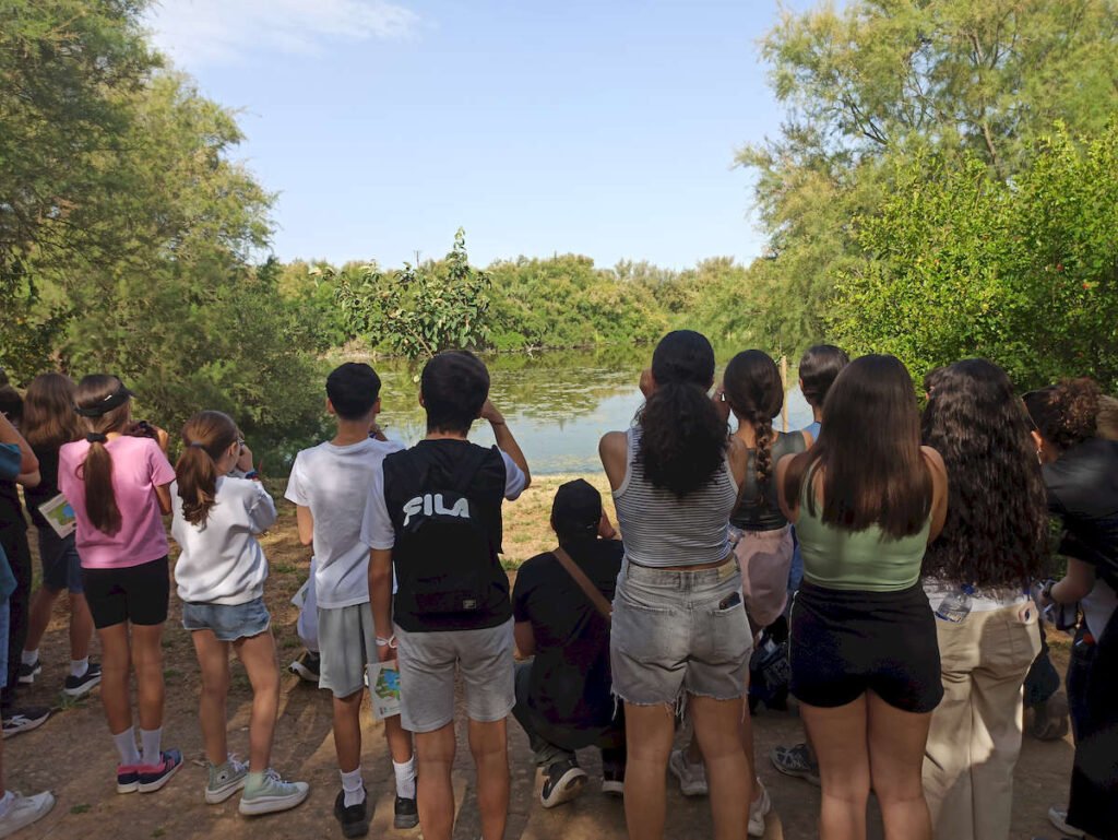 Convivencia de buenas prácticas del Grupo de Participación Local de Infancia y Adolescencia de Dos Hermanas “IADH” y el Consejo Local de la Infancia y la Adolescencia de Los Palacios y Villafranca