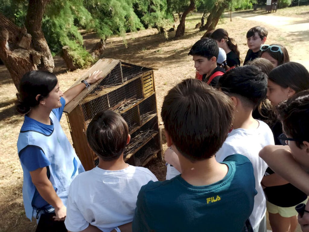 Convivencia de buenas prácticas del Grupo de Participación Local de Infancia y Adolescencia de Dos Hermanas “IADH” y el Consejo Local de la Infancia y la Adolescencia de Los Palacios y Villafranca