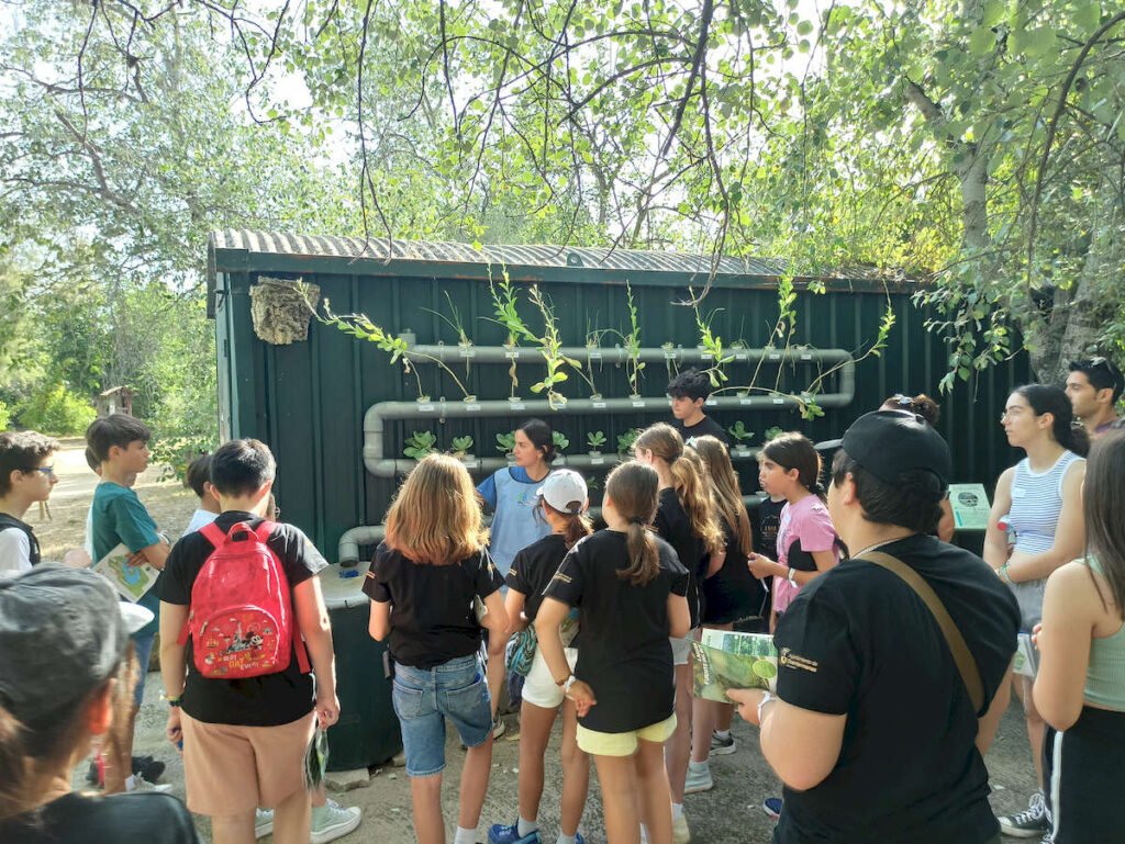 Convivencia de buenas prácticas del Grupo de Participación Local de Infancia y Adolescencia de Dos Hermanas “IADH” y el Consejo Local de la Infancia y la Adolescencia de Los Palacios y Villafranca