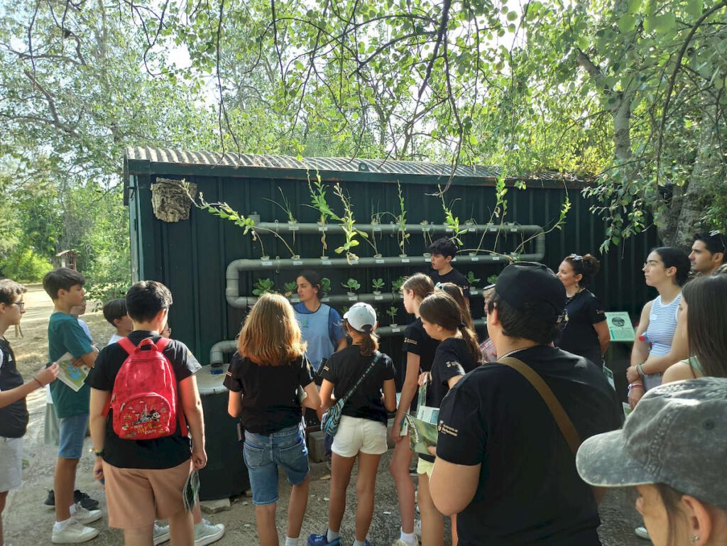 Convivencia de buenas prácticas del Grupo de Participación Local de Infancia y Adolescencia de Dos Hermanas “IADH” y el Consejo Local de la Infancia y la Adolescencia de Los Palacios y Villafranca