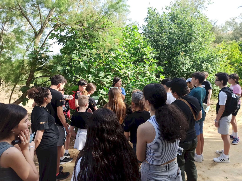 Convivencia de buenas prácticas del Grupo de Participación Local de Infancia y Adolescencia de Dos Hermanas “IADH” y el Consejo Local de la Infancia y la Adolescencia de Los Palacios y Villafranca